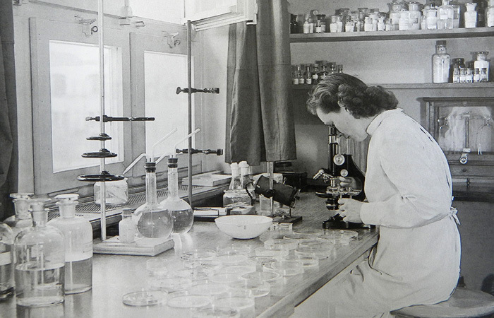 Elsa Mühlethaler in the laboratory.